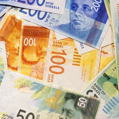 shekel.eth Ethereum Name Service (ENS and .eth domain) PFP