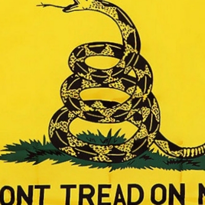 Libertarian-con (shovelguy.eth) Ethereum Name Service (ENS and .eth domain) PFP