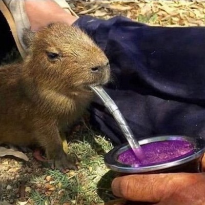 Club Purple (clubpurple.eth) Ethereum Name Service (ENS and .eth domain) PFP