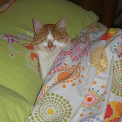 Efe (rip) (efewasaking.eth) Ethereum Name Service (ENS and .eth domain) PFP