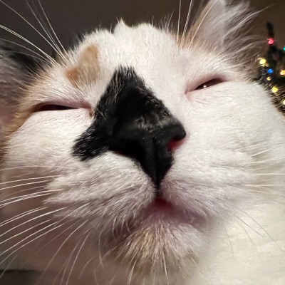 xyzern.eth Ethereum Name Service (ENS and .eth domain) PFP